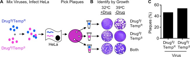 FIG 2 