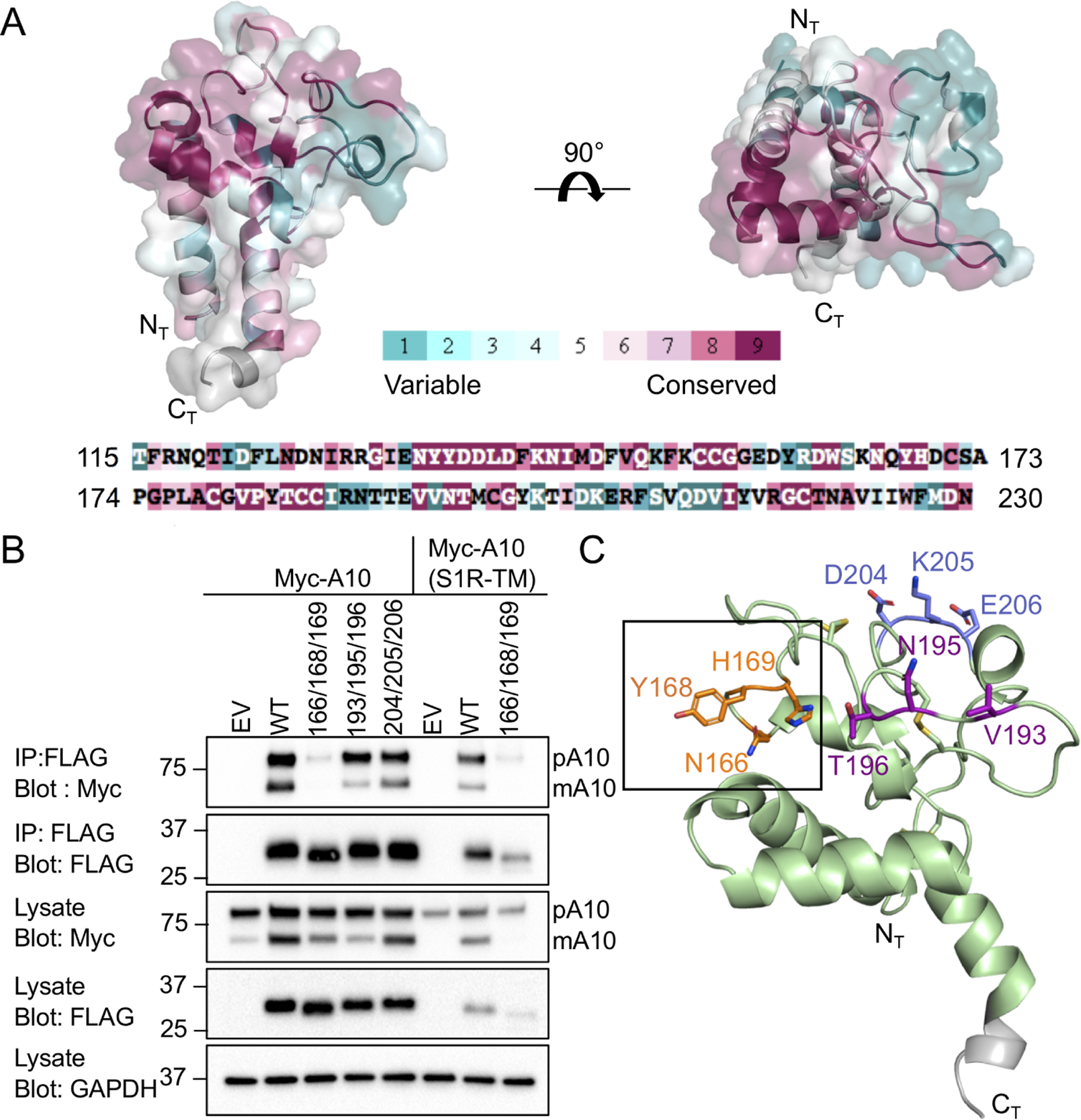 Figure 4.