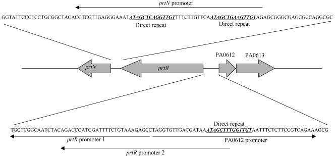 FIG. 1.