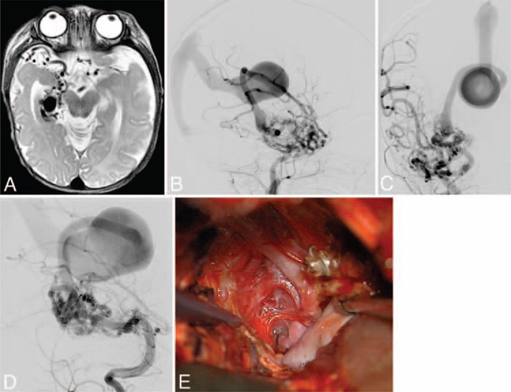 Fig. 8