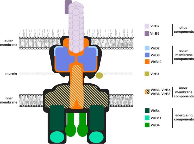 Figure 1.