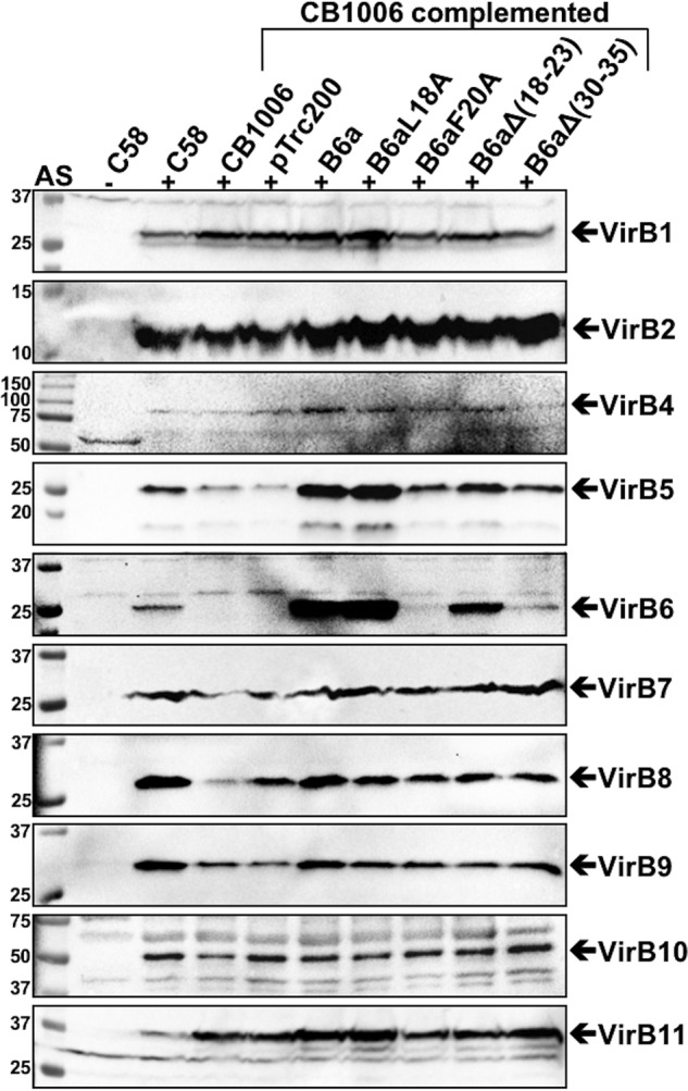 Figure 4.