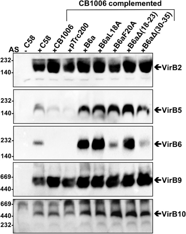 Figure 7.