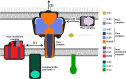 Figure 10.