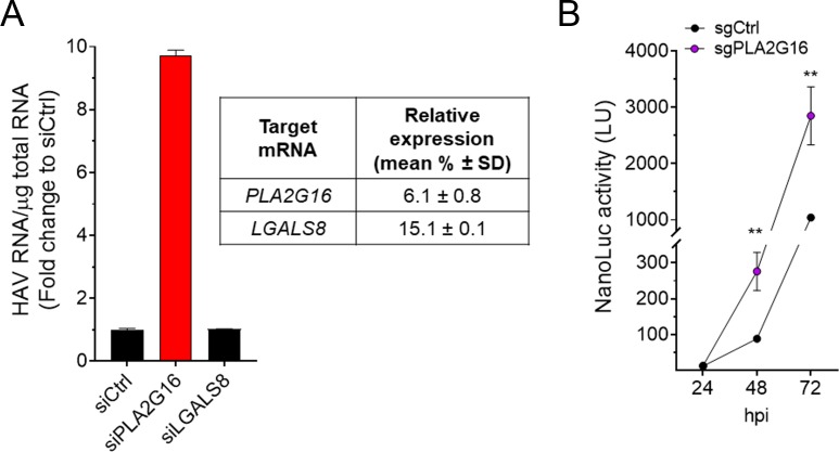 Figure 5—figure supplement 2.