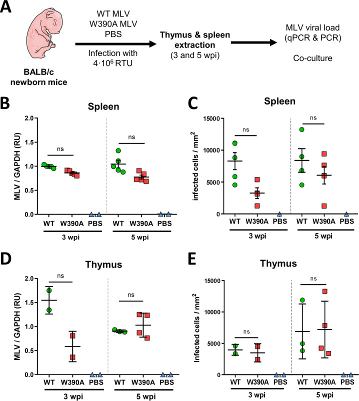 FIG 1