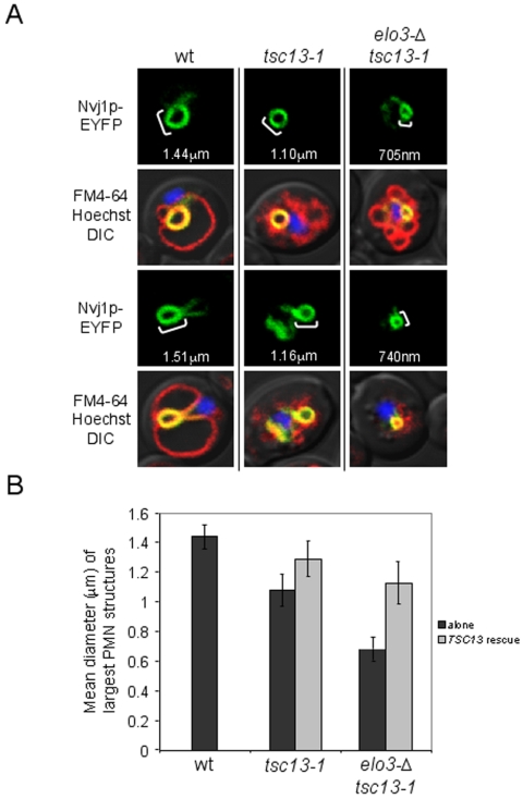 Figure 6.