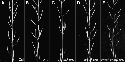 Figure 5.