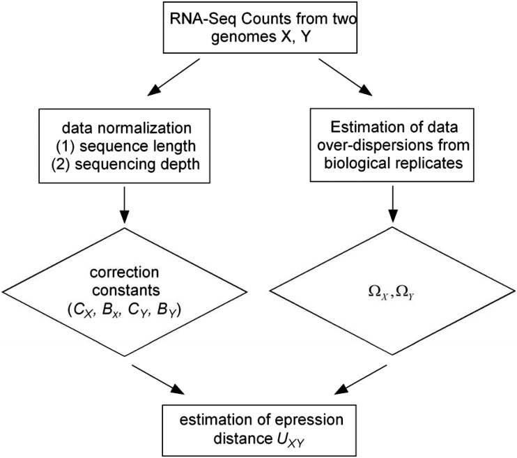 Fig. 2.—