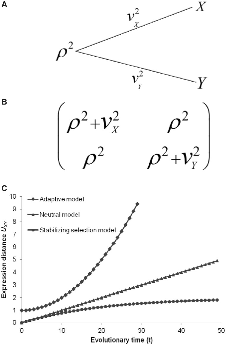 Fig. 1.—