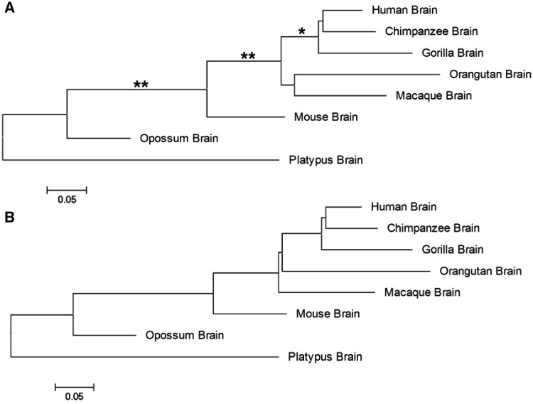 Fig. 3.—