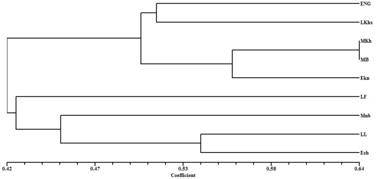 Fig. 3