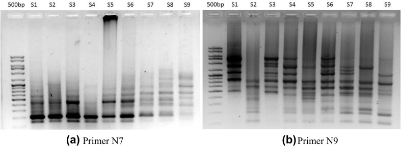 Fig. 5