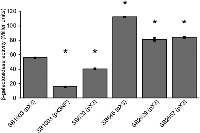 FIG 3