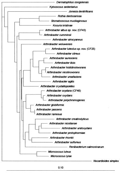 FIG. 1