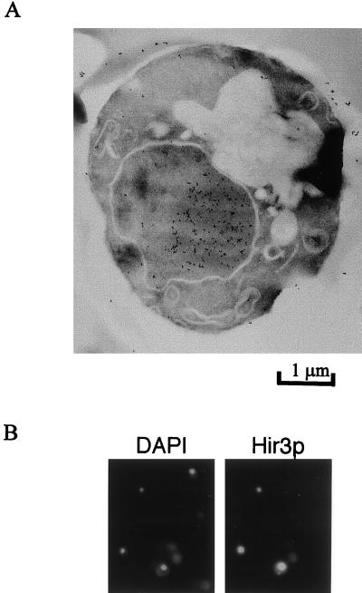 FIG. 6