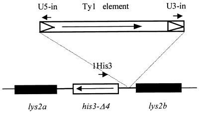 FIG. 1