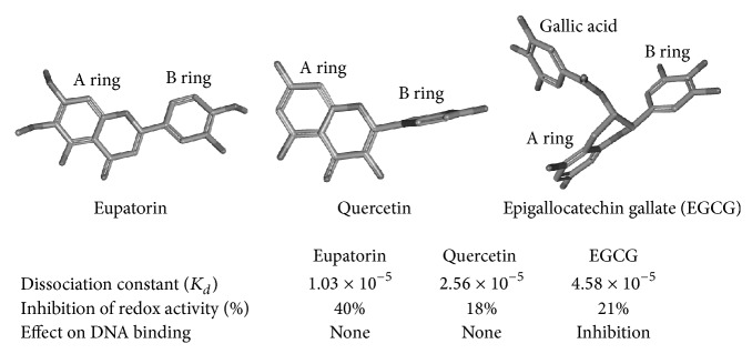 Figure 8