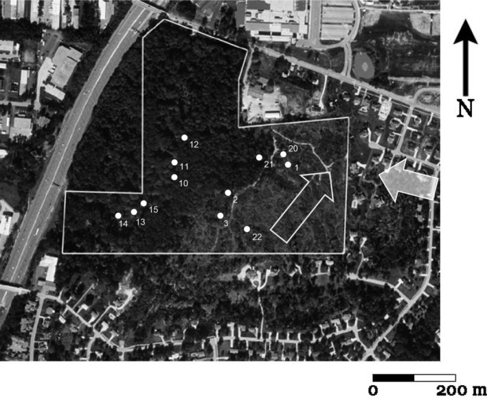 FIGURE 1