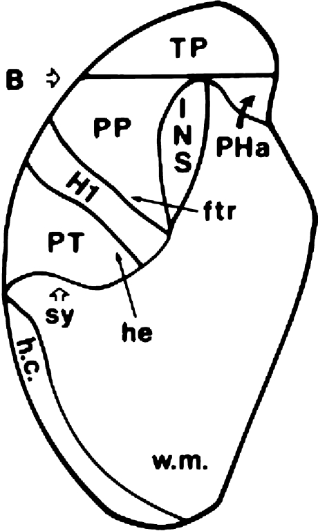 Fig. 1