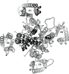 Fig. (7)