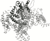 Fig. (9)