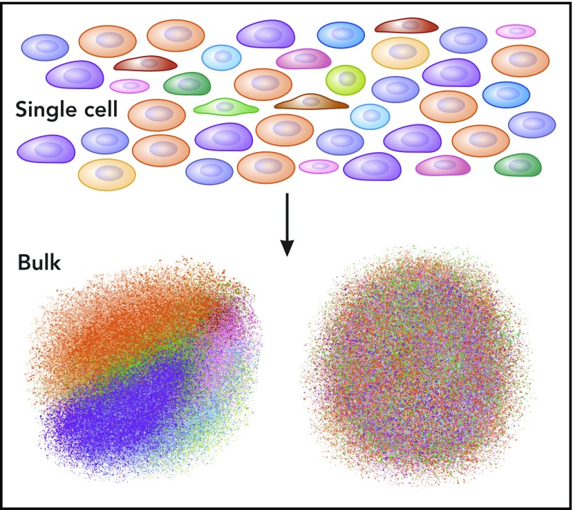 Figure 1. Single-cell analysis reveals the details of the population, rather than the average.