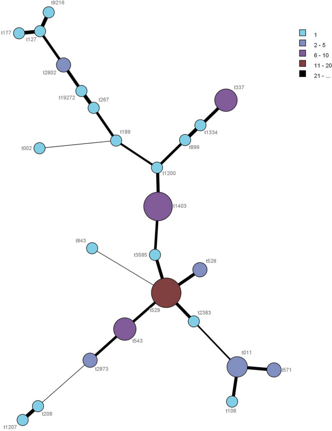 FIGURE 2