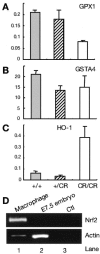 FIG. 5.