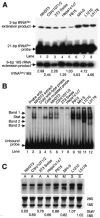 FIG. 10.
