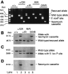 FIG. 6.