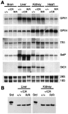 FIG. 8.
