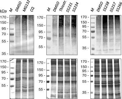 FIG. 4.