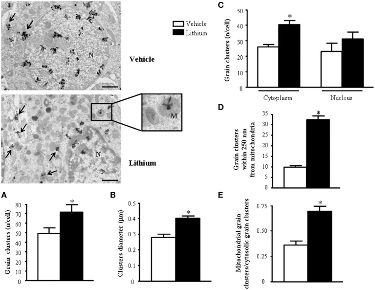 Figure 13