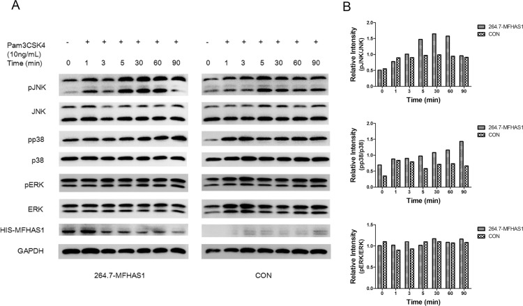 Fig 6