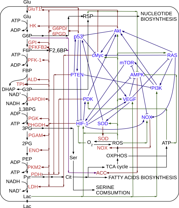 Figure 1