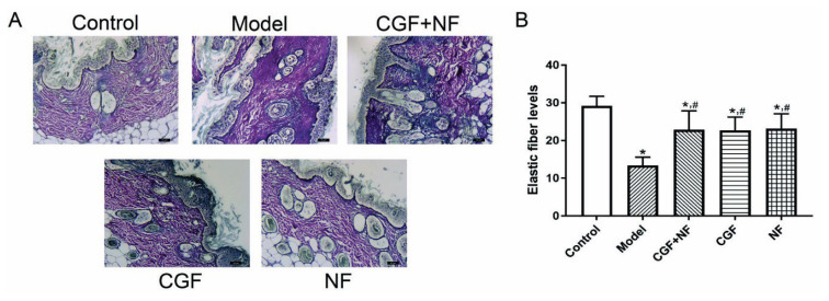 Fig. 9