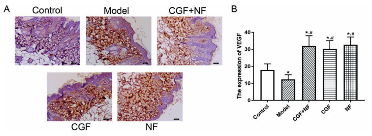 Fig. 11