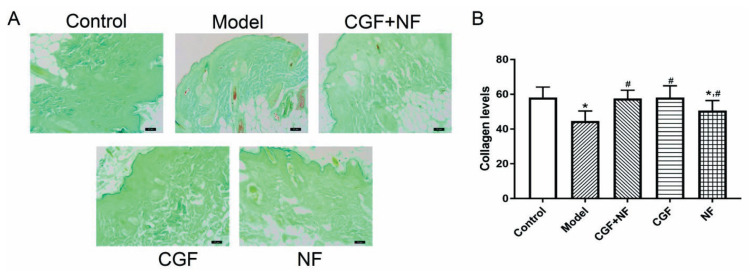 Fig. 8