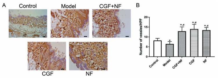 Fig. 10