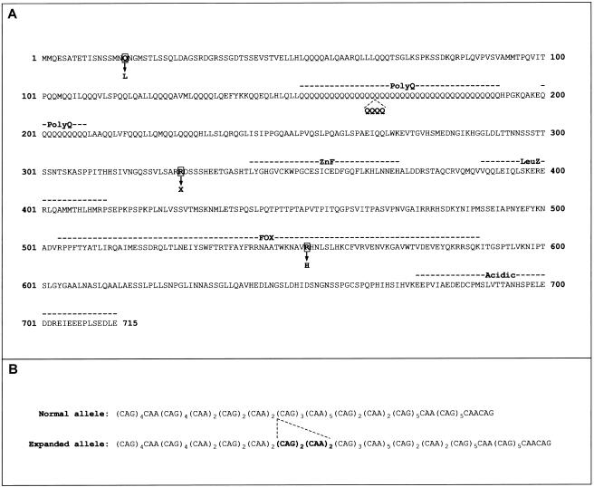 Figure  2