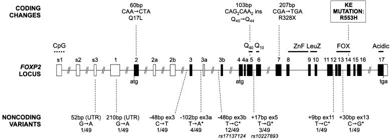 Figure  1