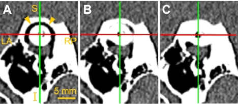 Fig. 2