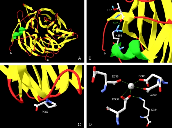 FIG. 4.