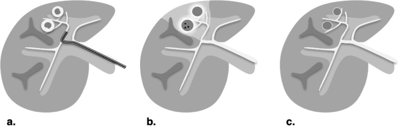 Fig. 20