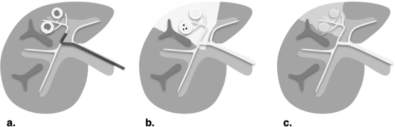 Fig. 19