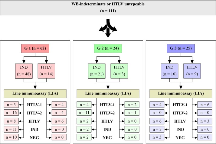 FIG 1