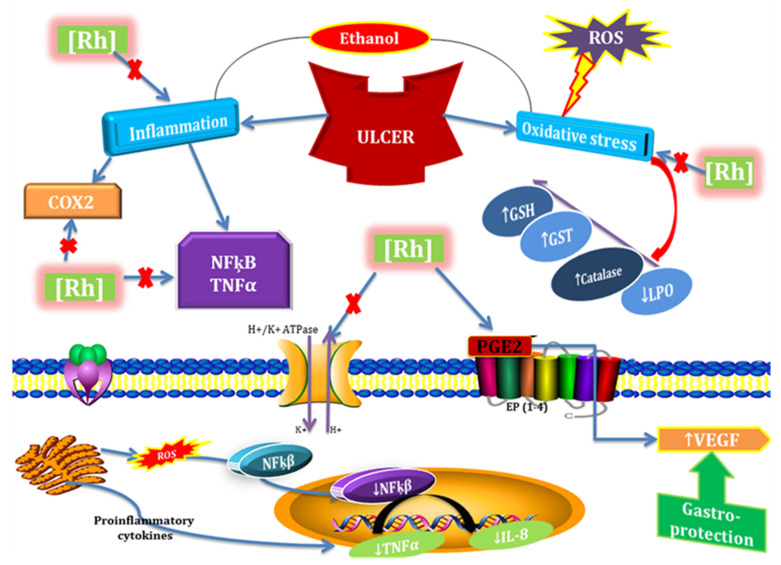 Figure 20