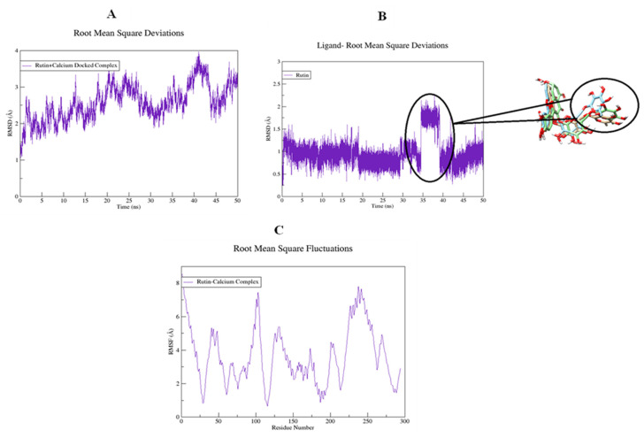 Figure 19