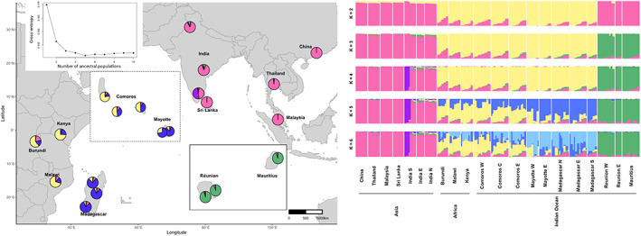 FIGURE 2